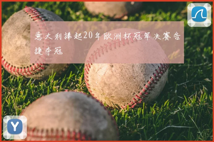 意大利捧起20年欧洲杯冠军决赛告捷夺冠