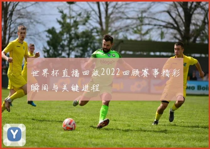 世界杯直播回放2022回顾赛事精彩瞬间与关键进程