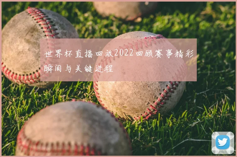 世界杯直播回放2022回顾赛事精彩瞬间与关键进程